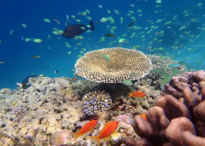 Whiteshell Island & SpaSpa Hotel