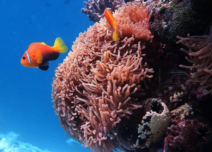 Kaani Village & Spa Maafushi